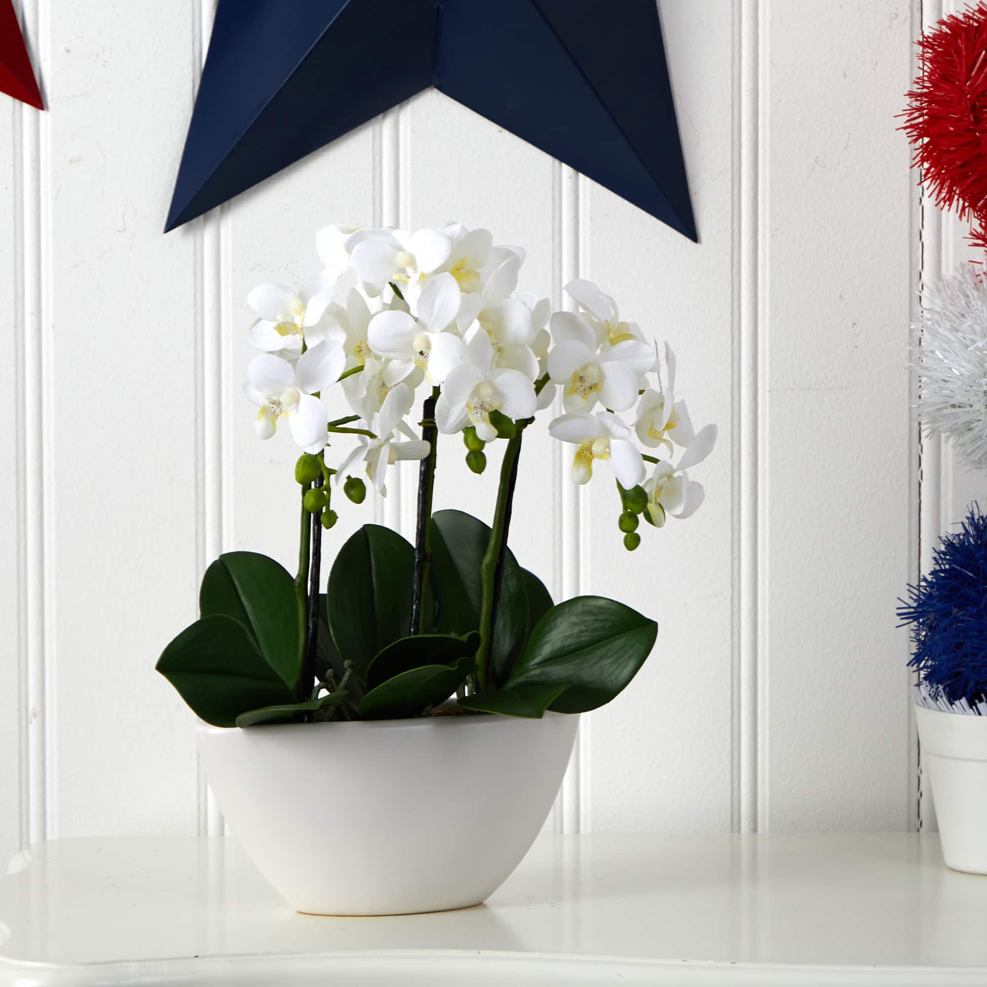 15" Phalaenopsis Arrangement in White Bowl Vase
